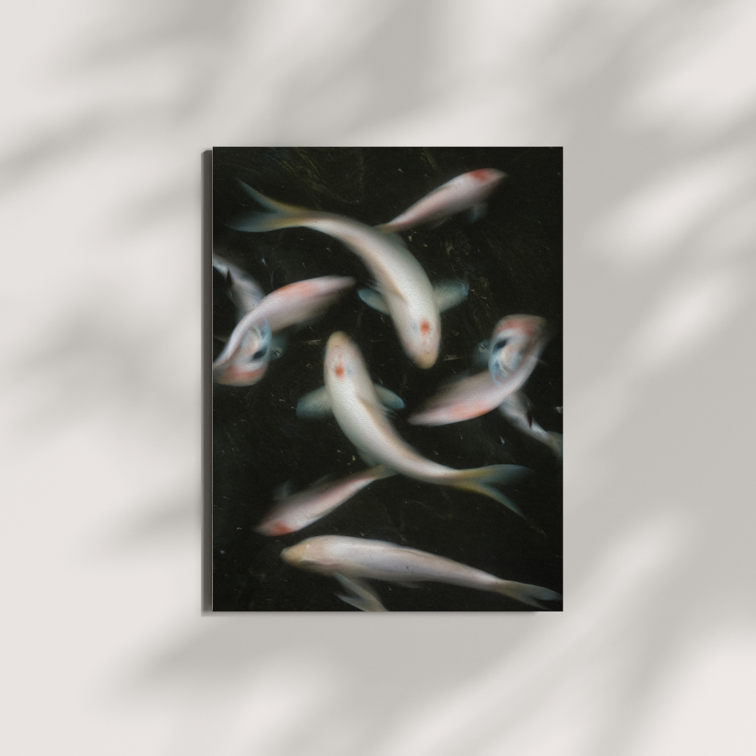 Édition limité - La danse